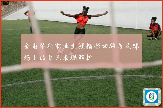 舍甫琴科职业生涯精彩回顾与足球场上的非凡表现解析