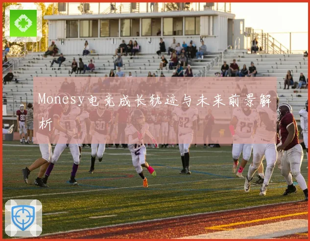 Monesy电竞成长轨迹与未来前景解析