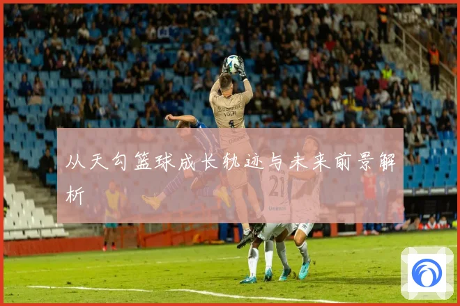 从天勾篮球成长轨迹与未来前景解析